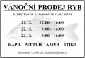 Keks ve Zručském dvoře