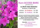Access bars kurz